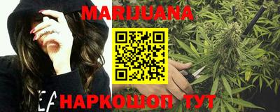 сатива Будённовск