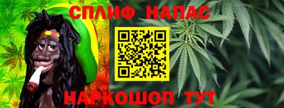 сатива Будённовск