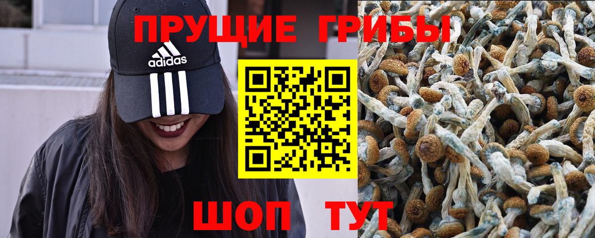 Галлюциногенные грибы MAGIC MUSHROOMS  Вход с VPN  Сегежа 