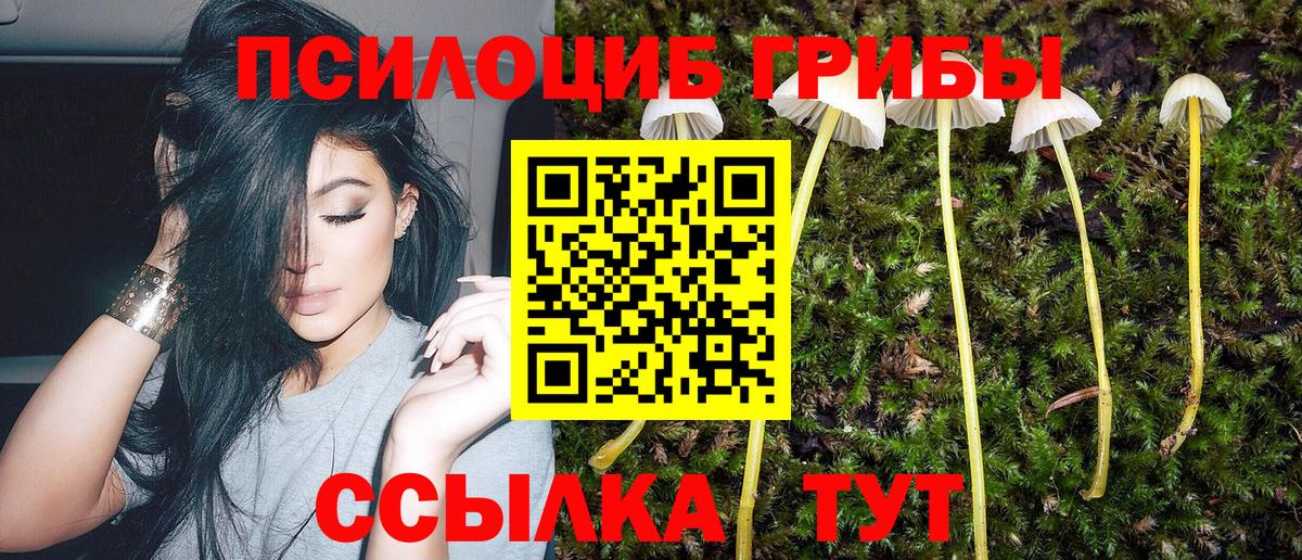 APVP Сегежа